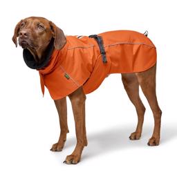 Hunter Dog Jacka Nordby Standard Orange